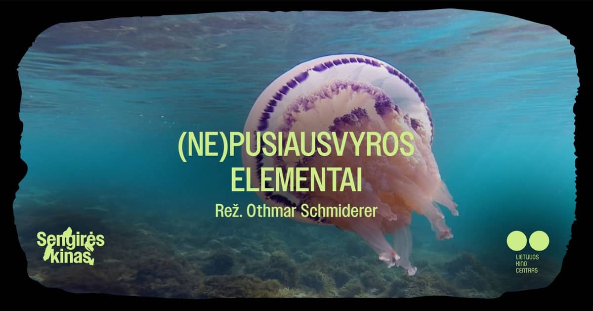 SENGIRĖS KINAS Kauno Vinco Kudirkos viešojoje bibliotekoje: „(Ne)pusiausvyros elementai“