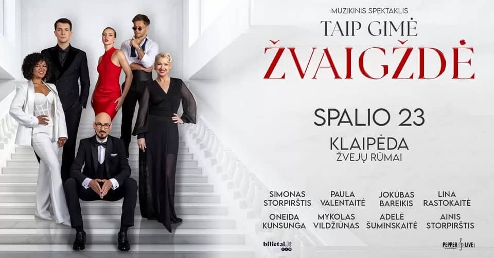 Muzikinis spektaklis „Taip gimė žvaigždė”