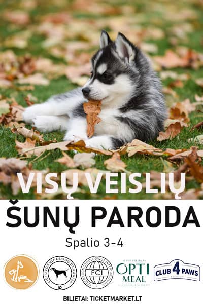 VISŲ VEISLIŲ ŠUNŲ PARODA – ŠIAULIŲ MIESTO TAURĖ‘2026