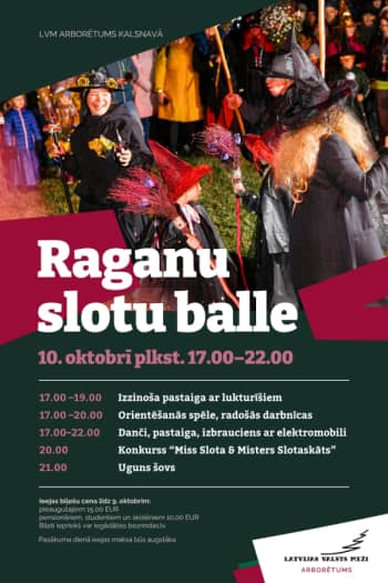 "Raganų šluotų balius" LVM arboretume Kalsnavoje