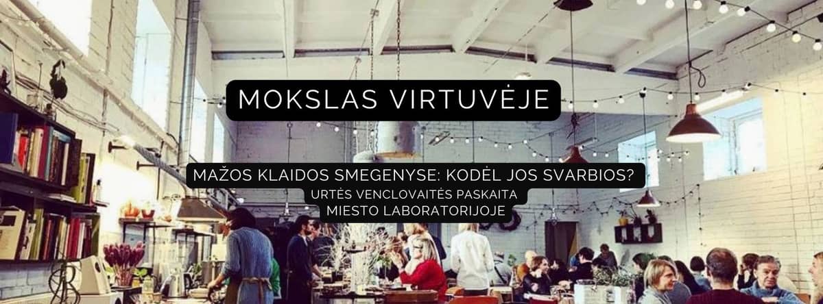 MOKSLAS VIRTUVĖJE: Mažos klaidos smegenyse