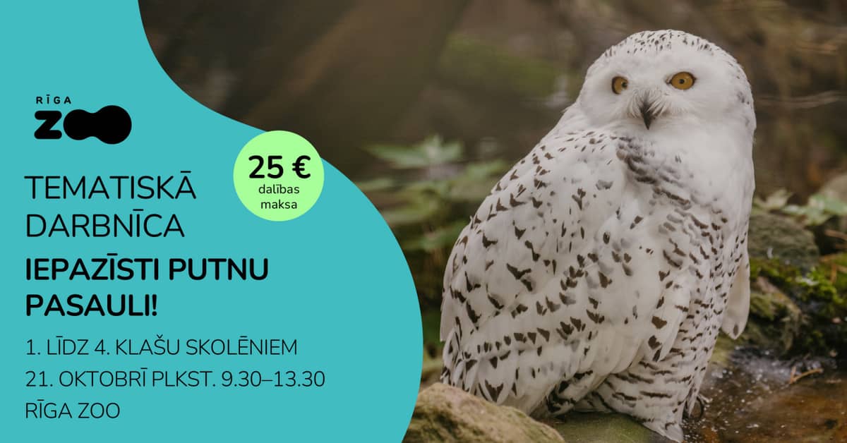 Teminė diena Rygos zoologijos sode – „Pažink paukščių pasaulį!“