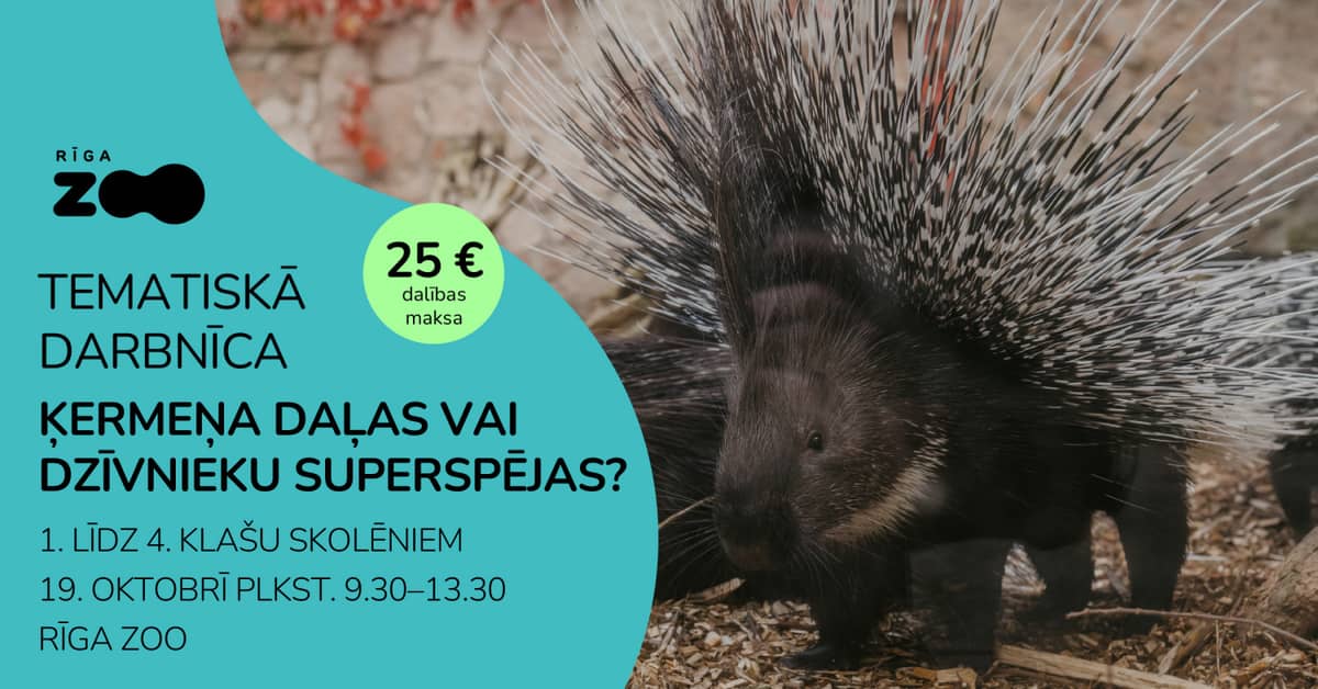 Teminė diena Rygos zoologijos sode – „Kūno dalys ar gyvūnų supergalios?“