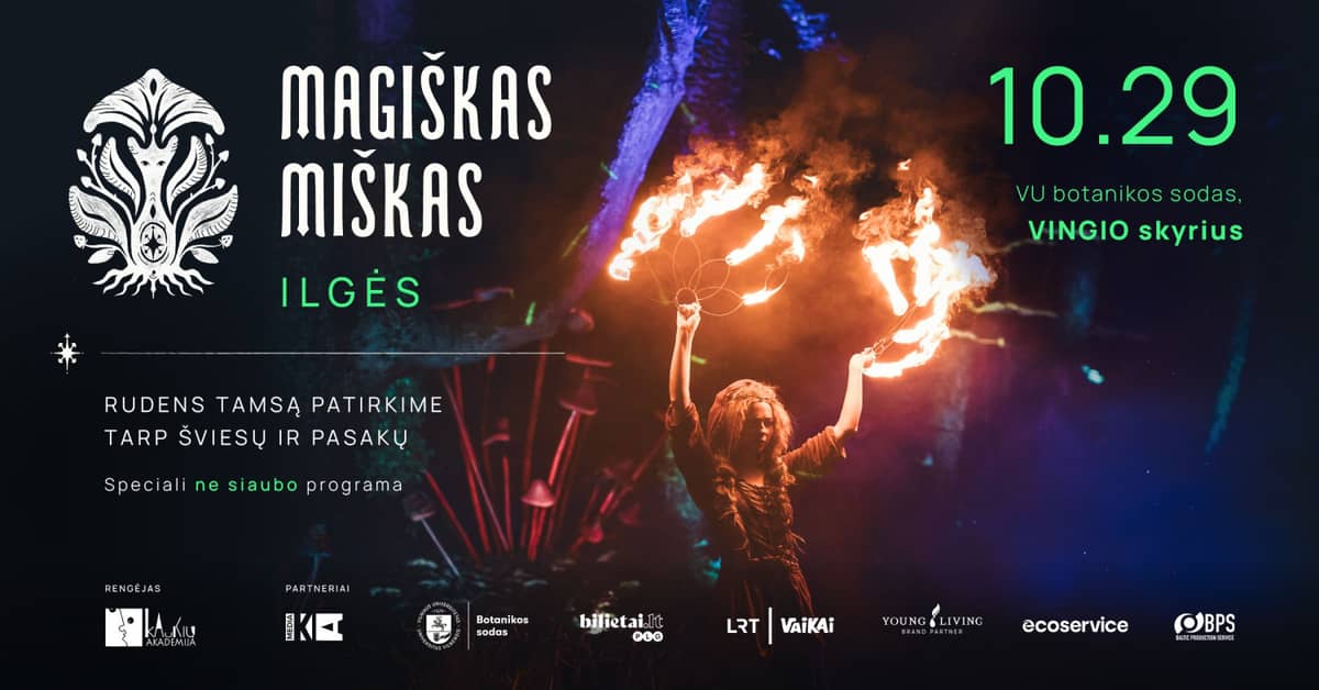 MAGIŠKAS MIŠKAS. ILGĖS - patyrimų šviesos spektaklis visokio ūgio vaikams *