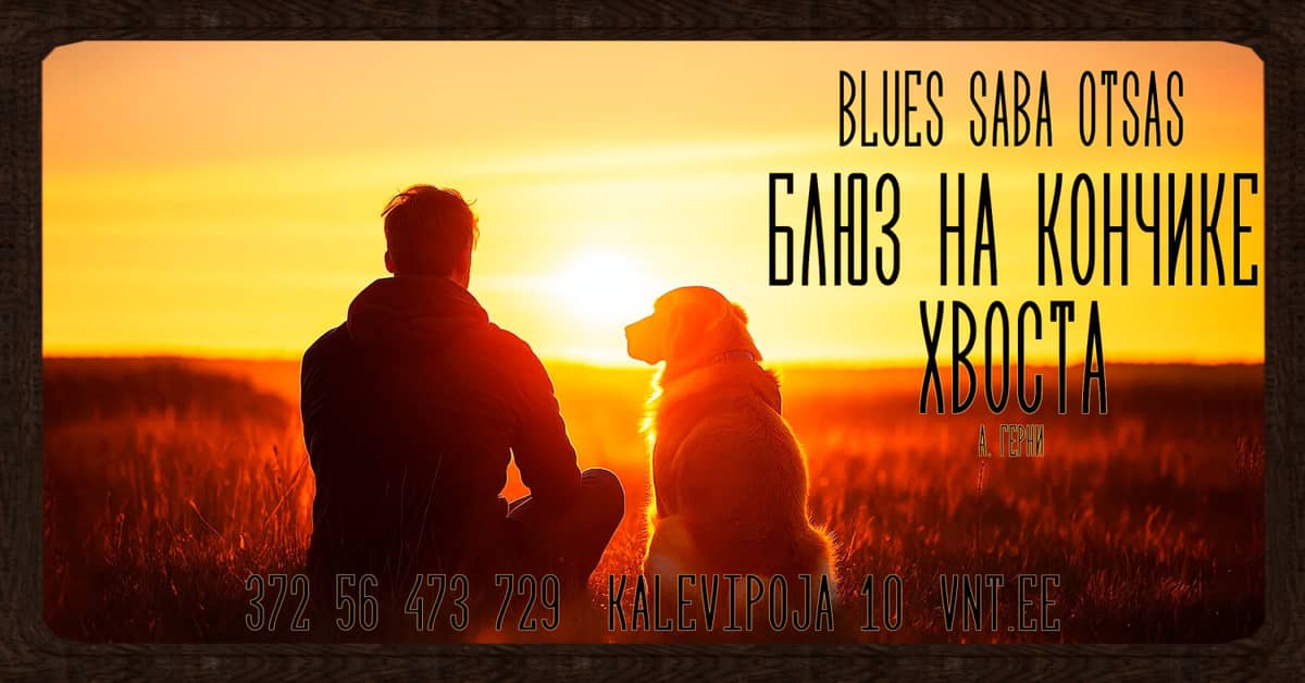 Bliuzas uodegos gale / Блюз на кончике хвоста — Rusų jaunimo teatras