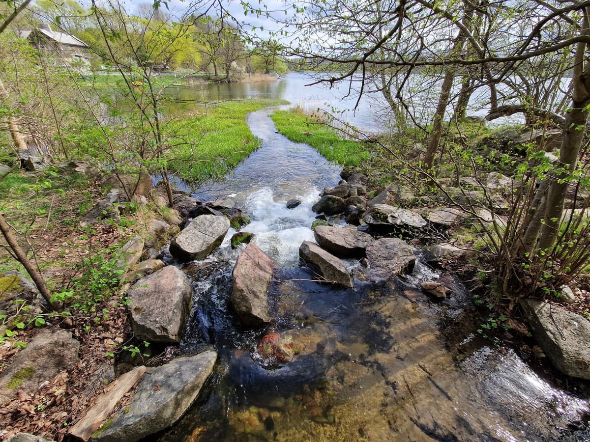 Dvariškas Lentvario „Kilimų” žygis