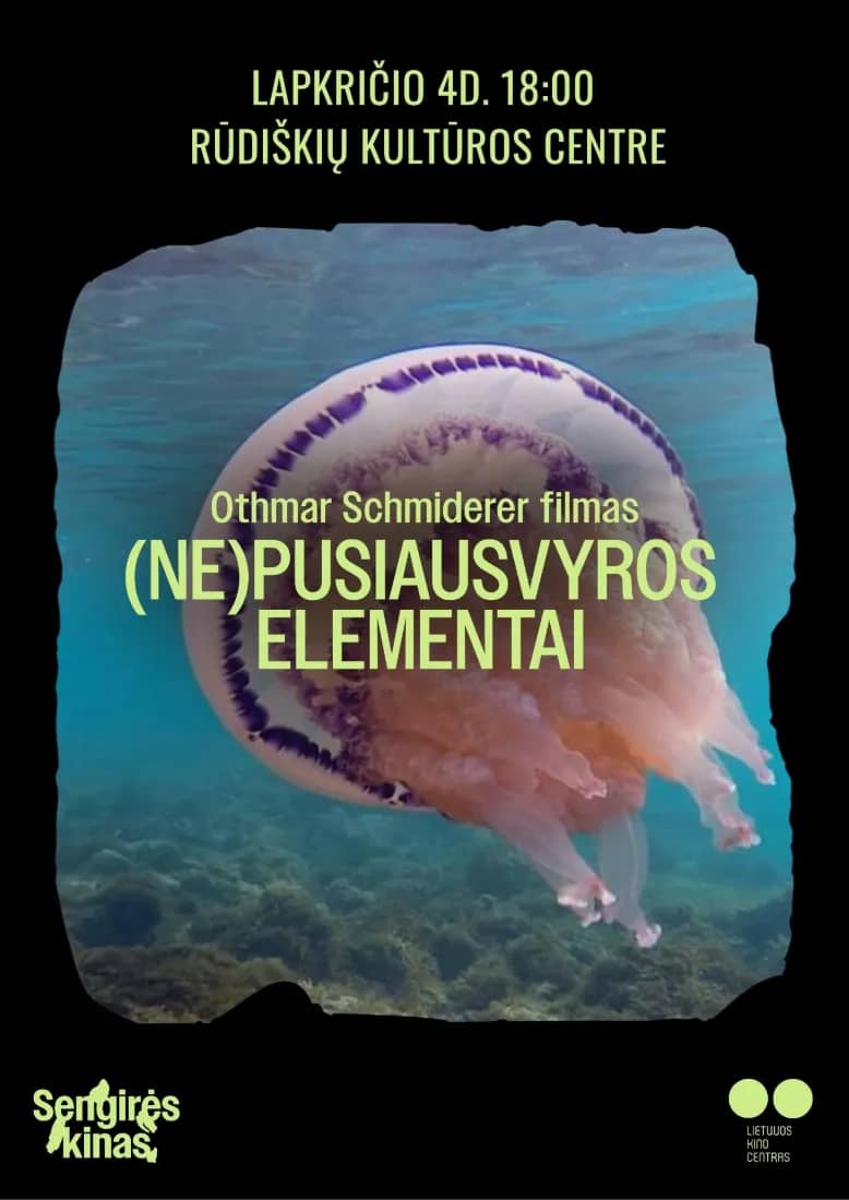 SENGIRĖS KINAS RŪDIŠKIŲ KULTŪROS CENTRE: (NE)PUSIAUSVYROS ELEMENTAI