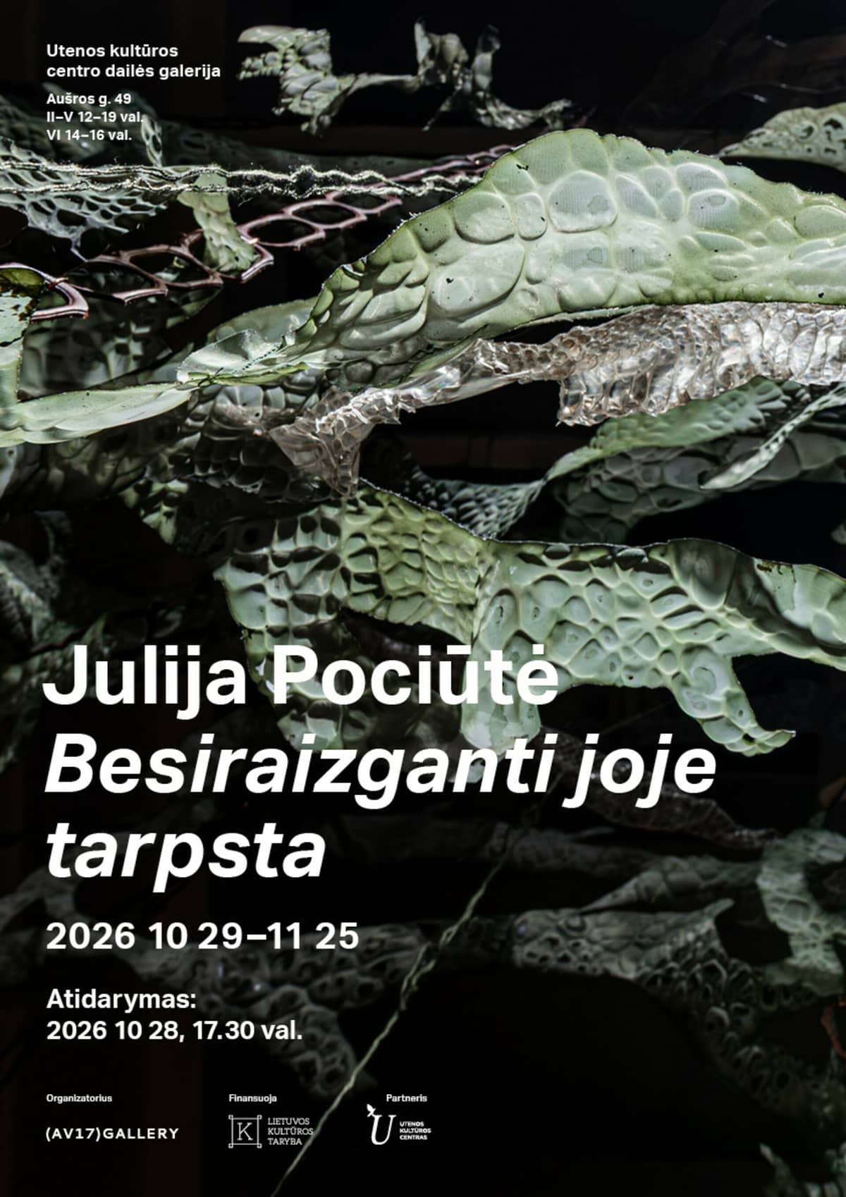 Julija Pociūtė „Besiraizganti joje tarpsta“