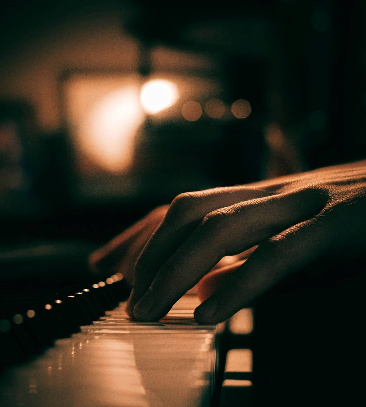 Susitikimas su muzikantu Edgaru Silacērpsu