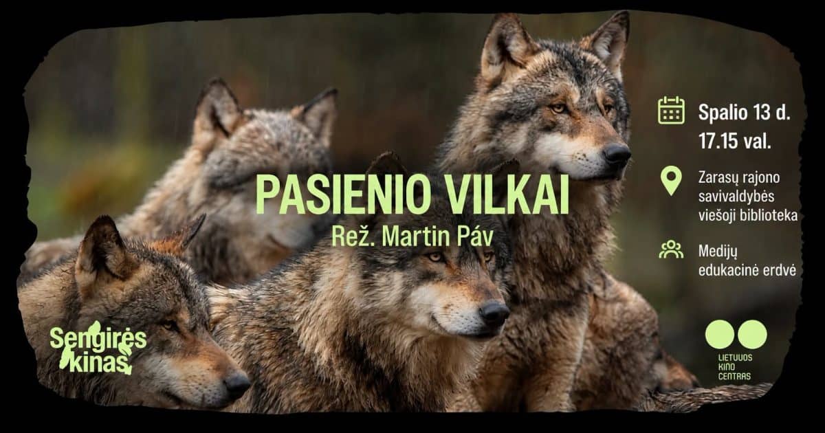 Sengirės kinas: Pasienio vilkai