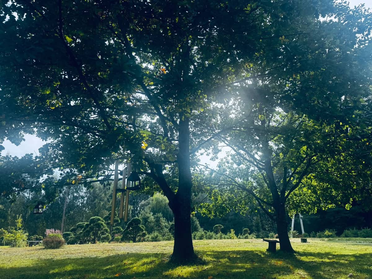 GONGŲ MAUDYNĖS SODYBOJE „GERVIŲ GIESMĖ“